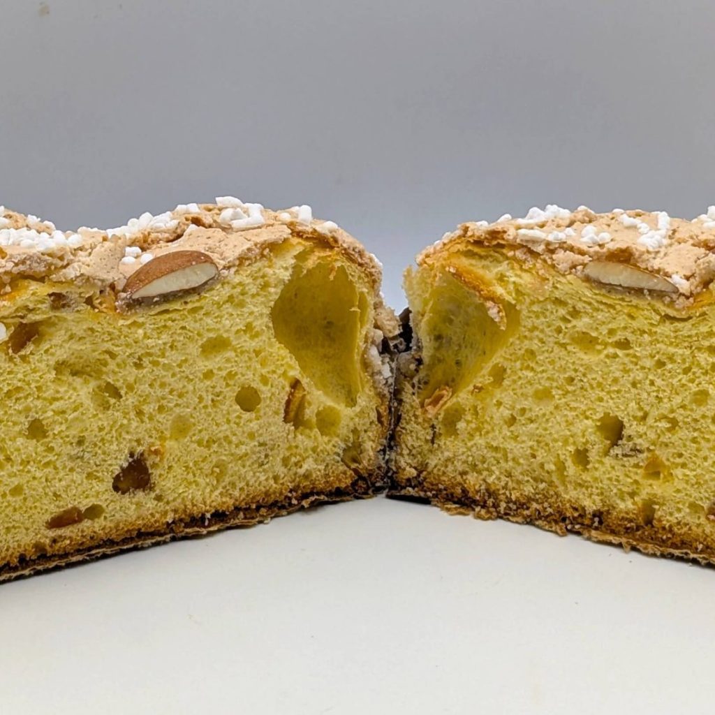 colomba_aperta